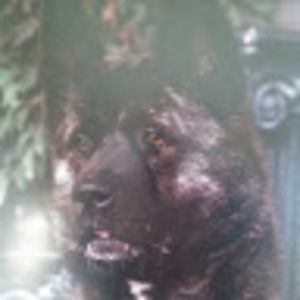 Meet your Posher, Karen